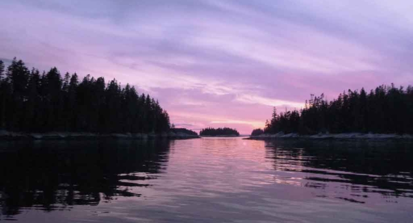The sky appears in gentle colors above trees and a body of water. 